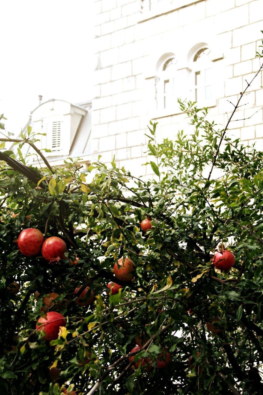 Apartments Astoria Hn تْشيرسيك نوفي المظهر الخارجي الصورة